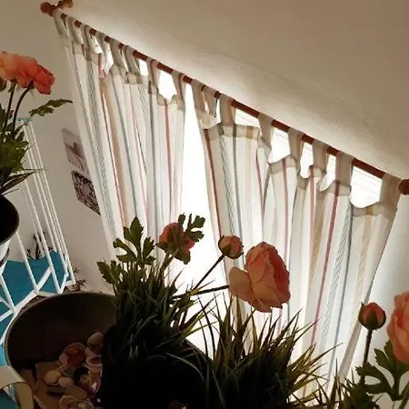 La Casa Rosa 2